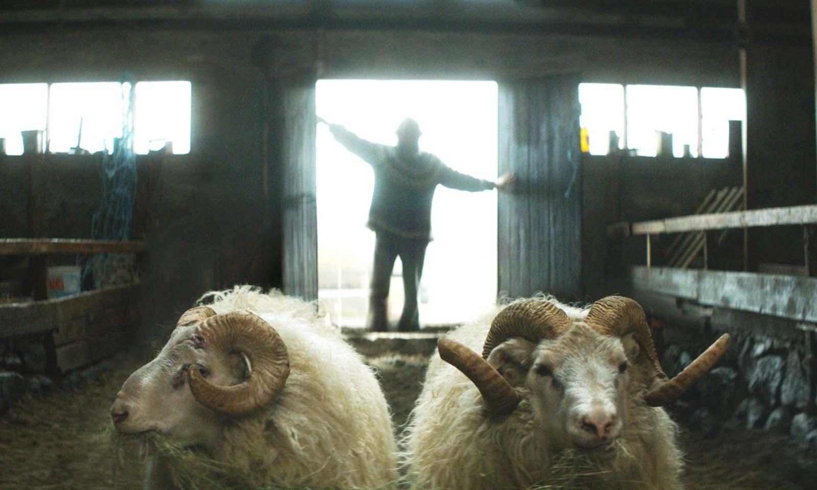 EL VALLE DE LOS CARNEROS- CINEFORUM- CONSEJO DE MAYORES- LUIS VIL